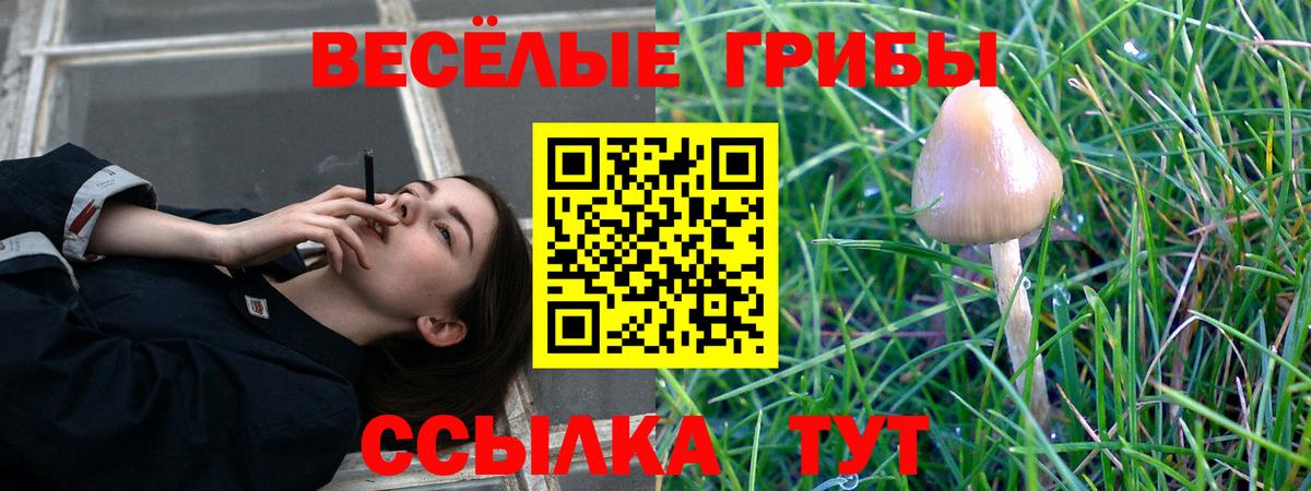 Галлюциногенные грибы MAGIC MUSHROOMS Тавда
